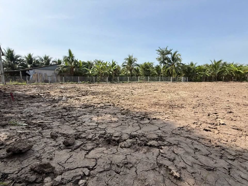 Đất vườn 466m² chính chủ tại xã Long Hưng, Tiền Giang - Giá chỉ 920 triệu!