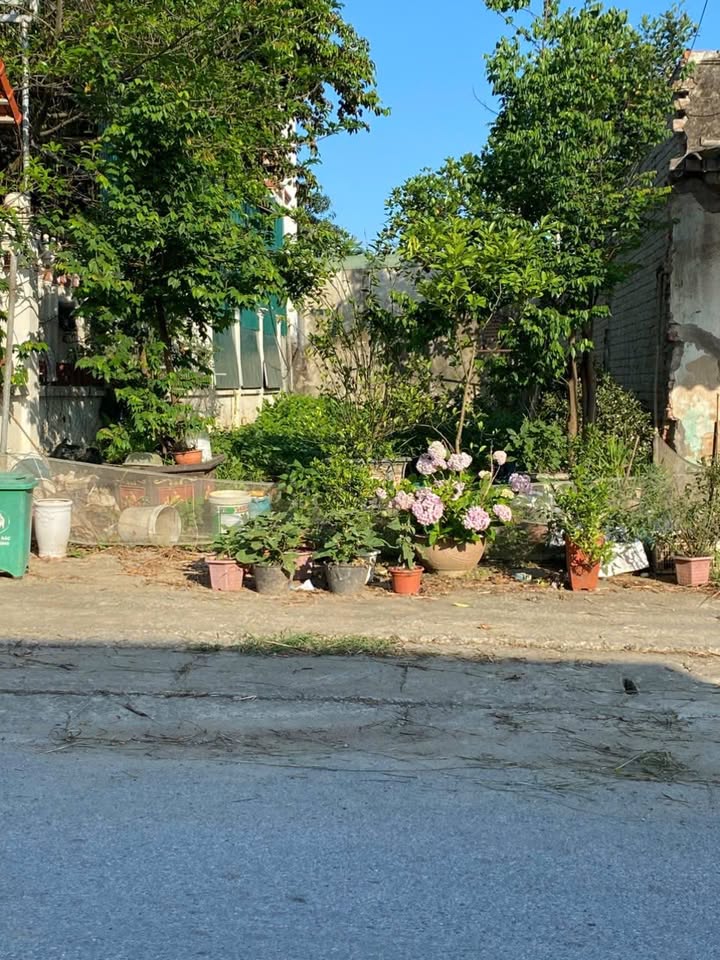 Đất nền xã Nga Tân, huyện Nga Sơn 148m² - Mở bán giá tốt cho nhà đầu tư!