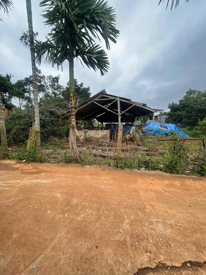 Đất nền phường An Lạc - Buôn Hồ 140m² giá 1.05 tỷ - Vị trí trung tâm thuận lợi!