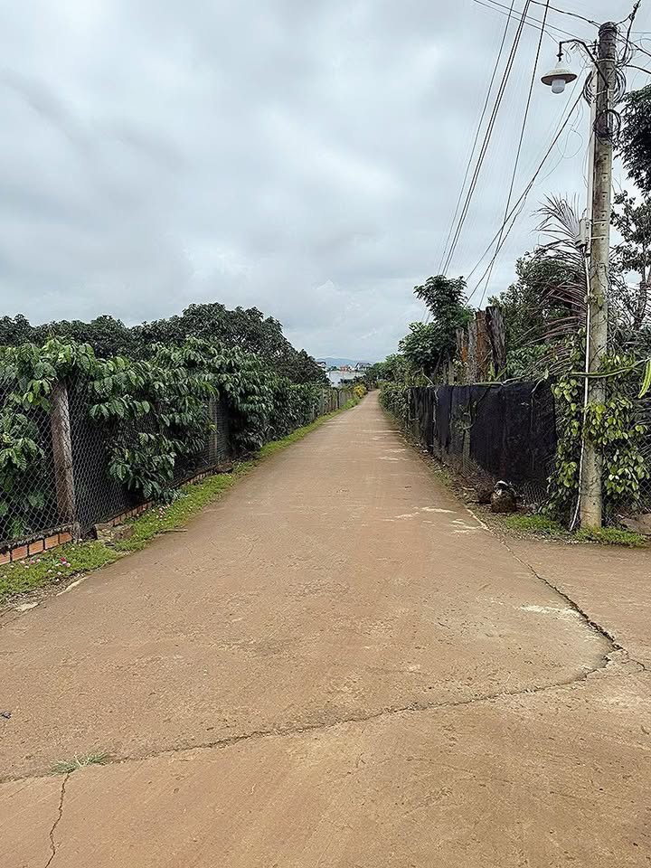 Đất nền Tân Hội, Đức Trọng 2000m² chỉ 2 tỷ - Cơ hội đầu tư tuyệt vời!