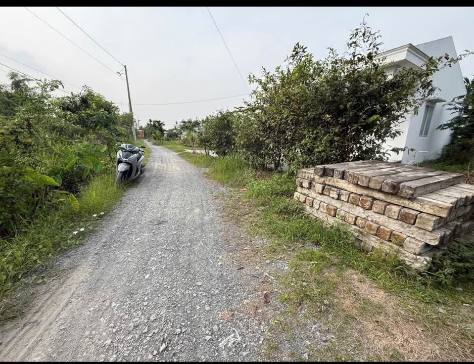 Đất vườn 3.017m² tại xã Lương Bình, Bến Lức, Long An - Giá 4 tỷ thương lượng!