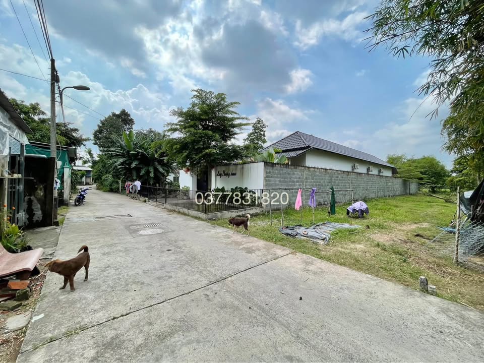 Đất mặt tiền đường Đà Lạt, Vĩnh Long 300m² giá 900 triệu - Đầu tư sinh lời ngay!