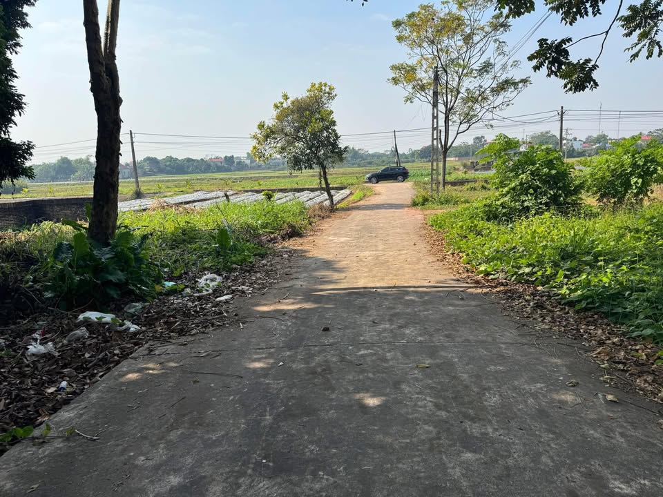 Đất nền Ngọc Châu, Tân Yên 200m² giá chỉ 900 triệu - Cơ hội đầu tư tuyệt vời!