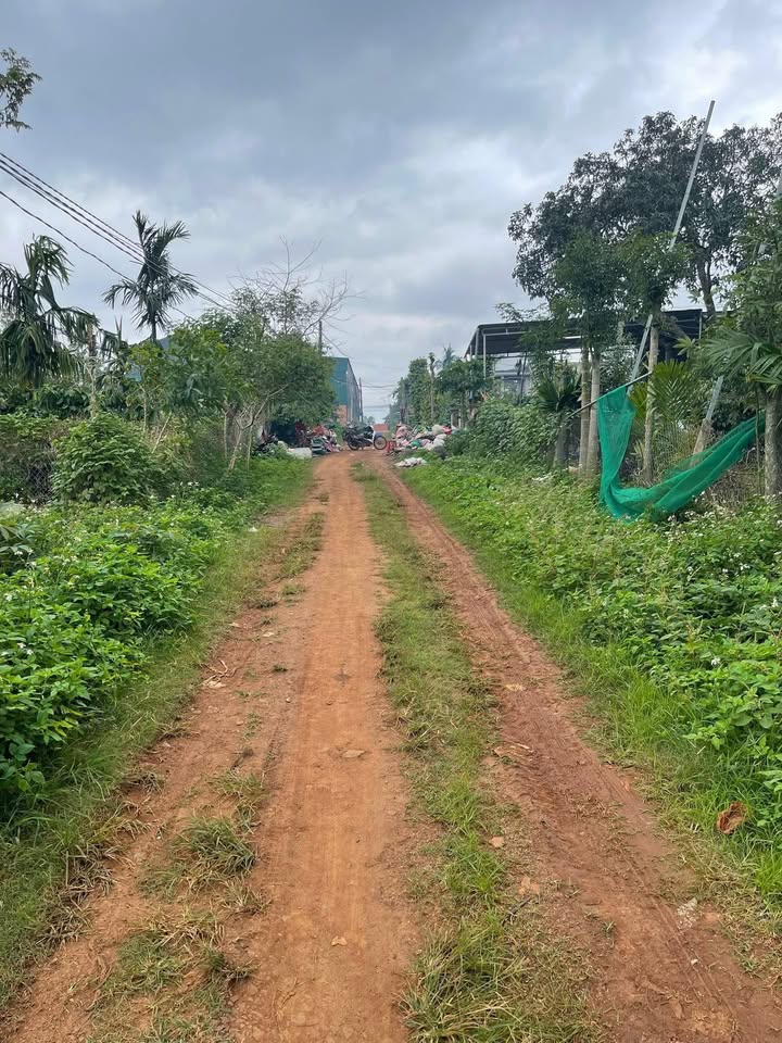 Đất nền Phú Xuân, Krông Năng 987m² giá chỉ 9 triệu/m² - Cơ hội đầu tư tuyệt vời!