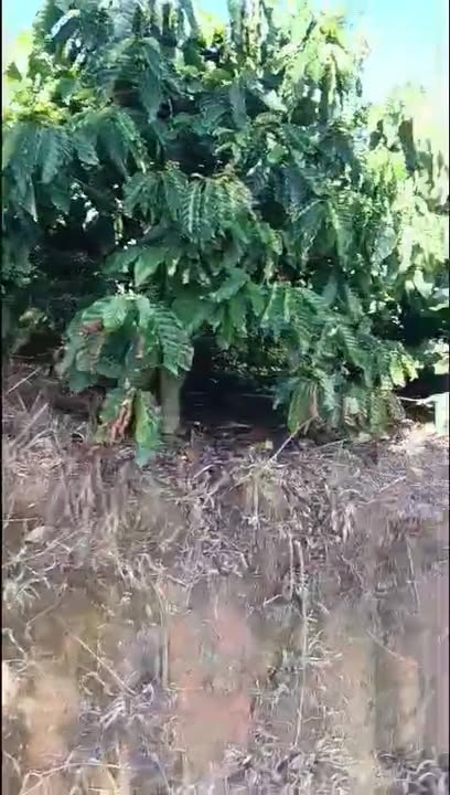 Đất nông nghiệp Lâm Hà 1,8ha giá 3,5 tỷ - Đầu tư sinh lời ngay!