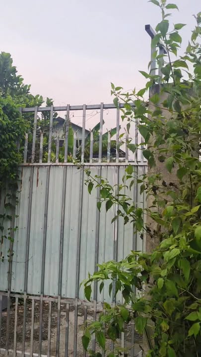 Đất nền Đức Lập Hạ 430m² giá 2.5 tỷ - Sổ hồng chính chủ, thương lượng ngay!