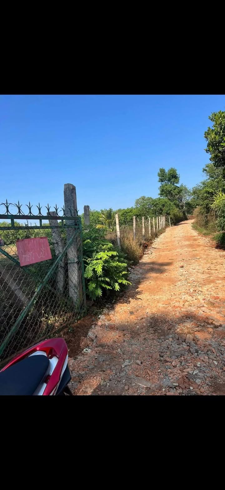 FrontHouse mặt tiền Nguyễn Thị Minh Khai Buôn Hồ 175m² giá 599 triệu - Đầu tư sinh lời ngay!