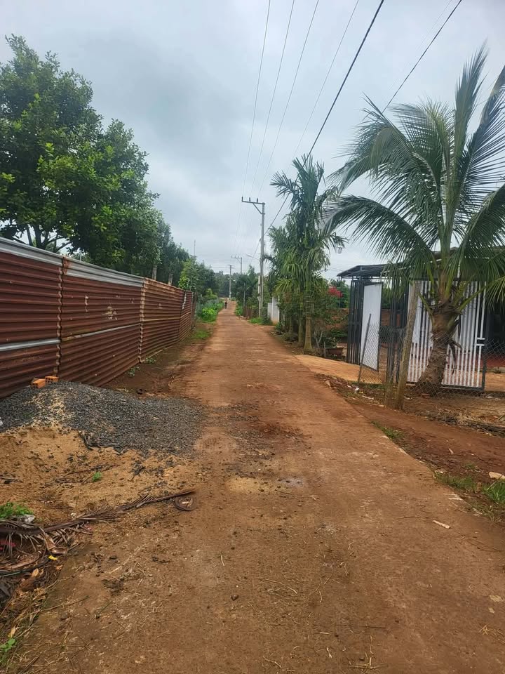 Đất thổ cư 240m² tại thôn Tân Lập 4, Krông Búk giá 720 triệu - Đầu tư sinh lời ngay!