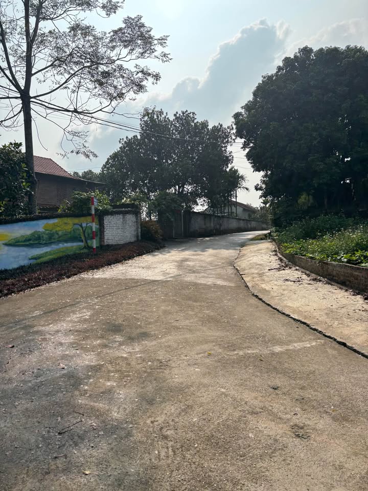 Lô đất siêu đẹp tại thôn 6, Ba Trại 770m² - Mặt tiền rộng, giao thông thuận lợi!