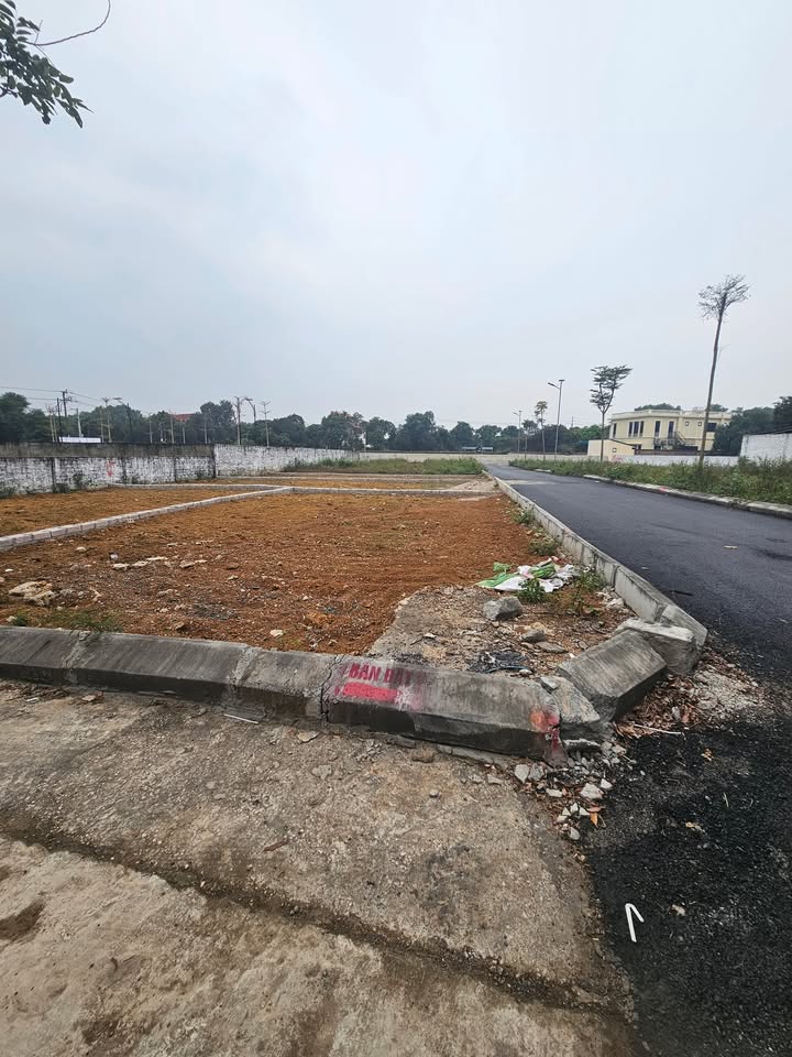 Đất nền mặt tiền kinh doanh tại Đồng Trạng, Quốc Oai 128m² giá 4 tỷ - Cơ hội đầu tư hiếm có!