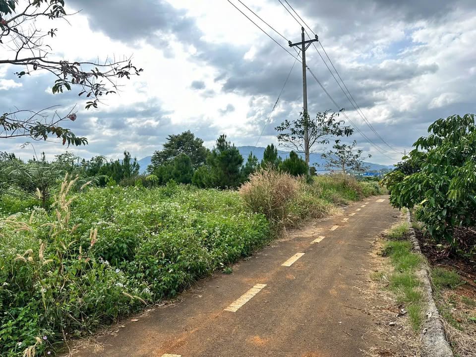 Đất nền Lộc Nga Bảo Lộc 621m² giá 999 triệu - Đầu tư nghỉ dưỡng lý tưởng!