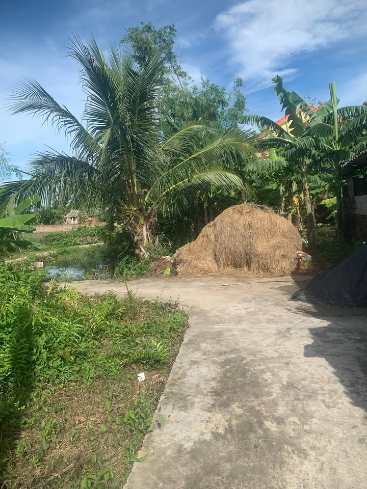 Đất nền góc Mỹ Ngự, xã Quyết Thắng, 336m² giá chỉ 1 tỷ - Đầu tư sinh lời ngay!