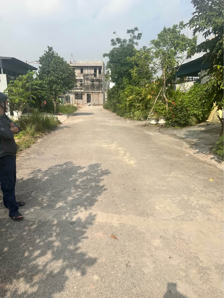 Đất nền Hoa Động, Thủy Nguyên 100m² giá chỉ 4 tỷ - Cơ hội đầu tư tuyệt vời!