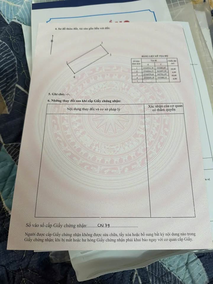 Đất chính chủ 99m² phường Châu Khê, Từ Sơn, Bắc Ninh - Giá chỉ 5 tỷ!