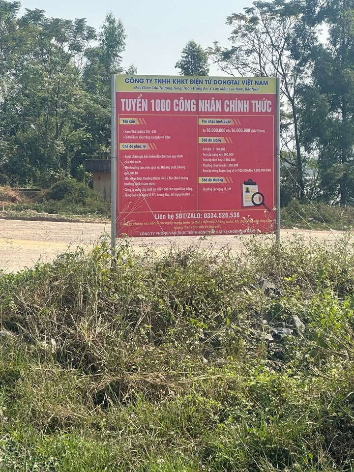 Đất nền Bắc Lũng Lục Nam 144m² giá chỉ 800 triệu - Gần công ty DONGTAI!