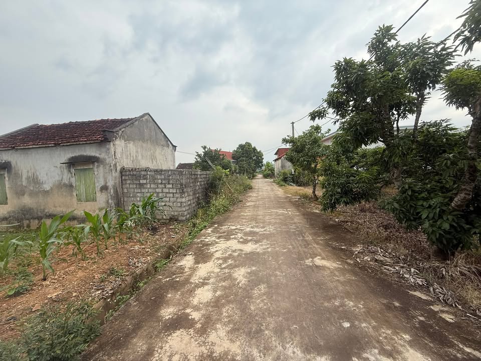 Đất thổ cư Nghĩa Phương, Lục Nam 72m² giá chỉ 200 triệu - Đầu tư sinh lời ngay!