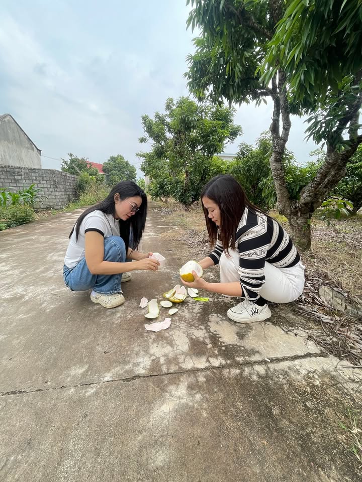 Đất An Phúc - Nghĩa Phương 294m² giá chỉ 200 triệu - Đầu tư sinh lời ngay!