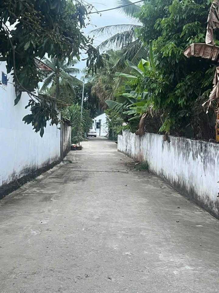 Đất nền Quảng Long, Quảng Xương 187m² giá chỉ 3xx triệu - Cơ hội đầu tư tốt!