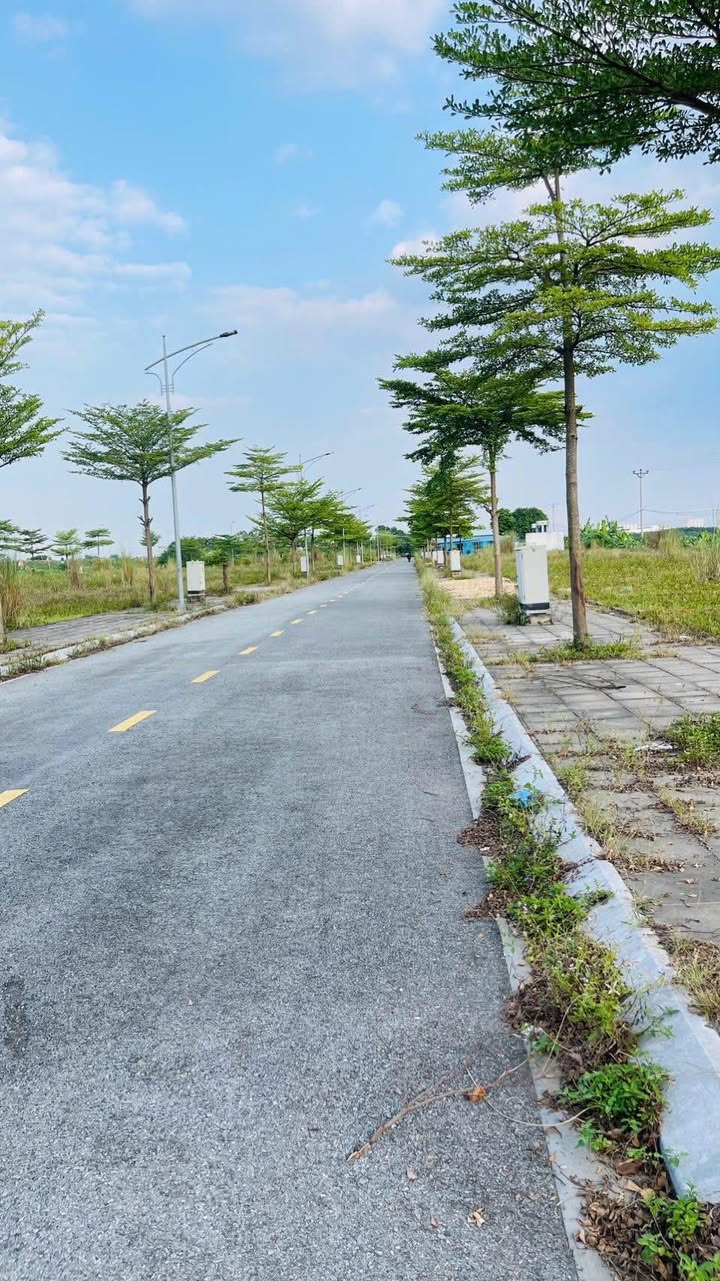 Đất nền Đào Xá Thanh Thủy 900m² giá chỉ 1 tỷ - Cơ hội đầu tư hiếm có!