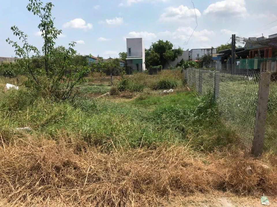 Đất thổ cư Mỹ Lộc 82m² giá 1.05 tỷ - Cơ hội đầu tư tuyệt vời!