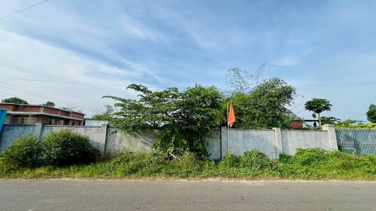 Đất thổ cư 753m² tại Phước Hội, Đất Đỏ - Giá chỉ 3.9 tỷ, thương lượng ngay!