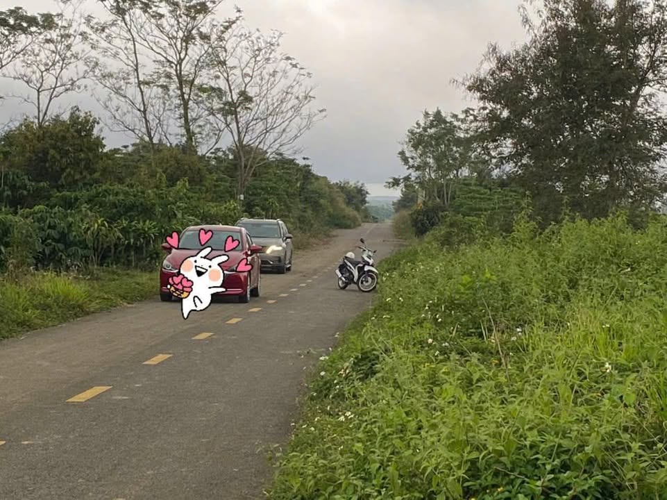 Đất thổ cư 1.6ha mặt tiền đường Nguyễn Khắc Nhu, Bảo Lộc - Tiềm năng phát triển lớn!