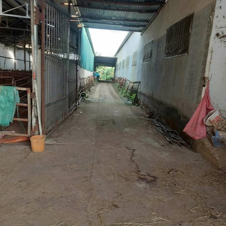 Đất sào 3875m² tại Hoàng Diệu, Bảo Lộc giá 1.8 tỷ - Đầu tư sinh lời ngay!