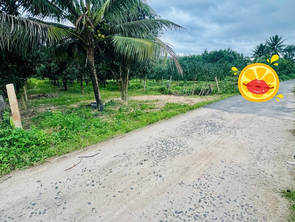 Đất thổ cư Suối Cát 200m² giá 3.4 tỷ - Vị trí thuận lợi, đầu tư sinh lời!