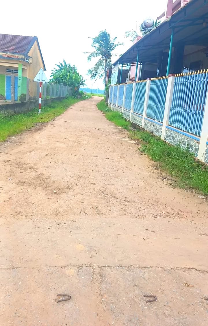 Đất nền Vĩnh Phụng 150m² giá 500 triệu - Vị trí đắc địa với tiềm năng phát triển!