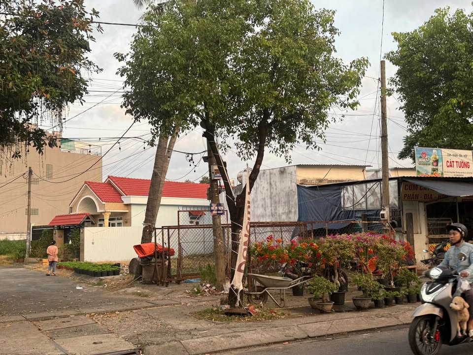 Đất góc 2 mặt tiền đường Song Hành, Tân Hiệp, Hóc Môn, 225m² giá 9.9 tỷ - Đầu tư sinh lời ngay!