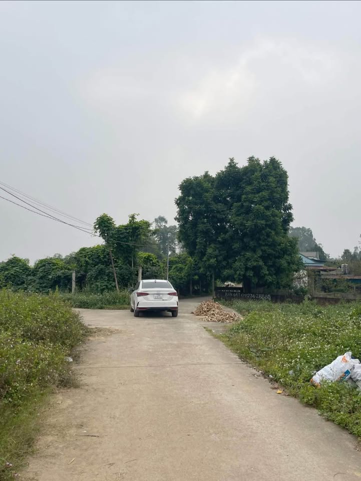 Đất nền khu 4 Hà Lộc 300m² giá chỉ 1 tỷ - Đầu tư sinh lời ngay!