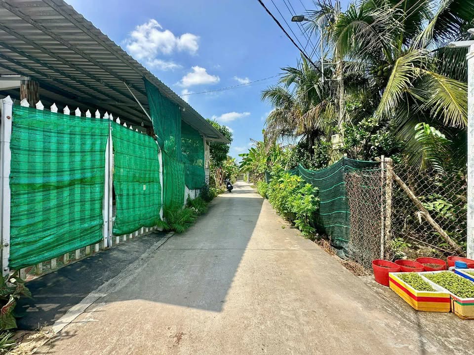 Bán đất trồng dừa Đạo Thạnh 1.344m² giá 2.55 tỷ - Vị trí đẹp, ô tô vào tận nơi!