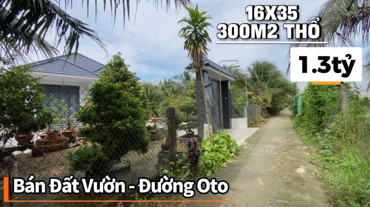 Đất vườn 560m² tại xã Long An, Châu Thành, Tiền Giang chỉ 1,3 tỷ - Sổ đỏ chính chủ!
