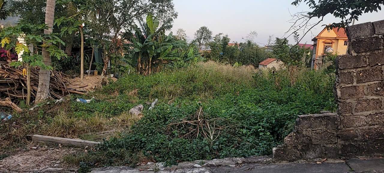 Bán đất Phường Việt Hưng 363m² giá 1.5 tỷ - Ngõ ô tô tải vào tận nơi!