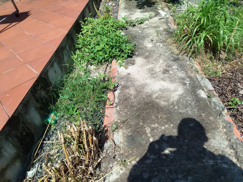 Bán đất đường Nguyễn Chí Thanh Tân Biên 480m² giá 4 tỷ - Đầu tư sinh lời ngay!