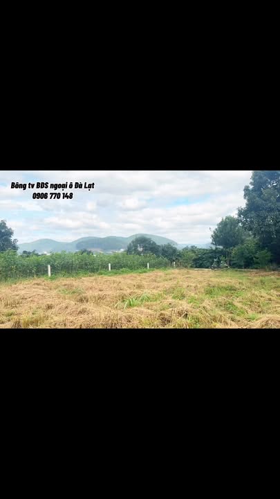 Đất nền Nam Ban Lâm Hà 990m² giá 2.25 tỷ - Đường nhựa, sổ hồng riêng!