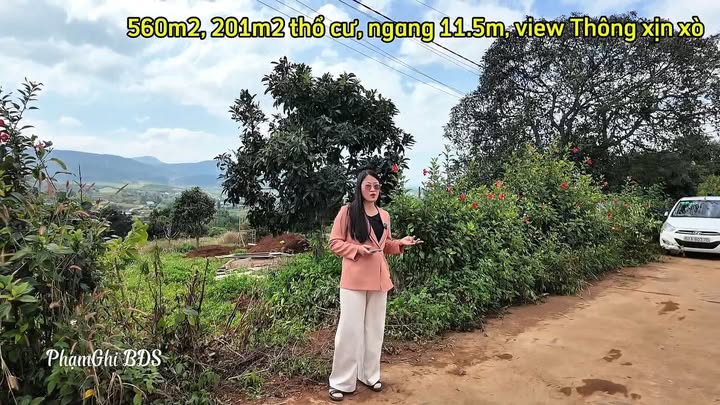 Đất liền kề Nam Ban, Lâm Hà 493m² giá 1.4 tỷ - Tiềm năng đầu tư cao!