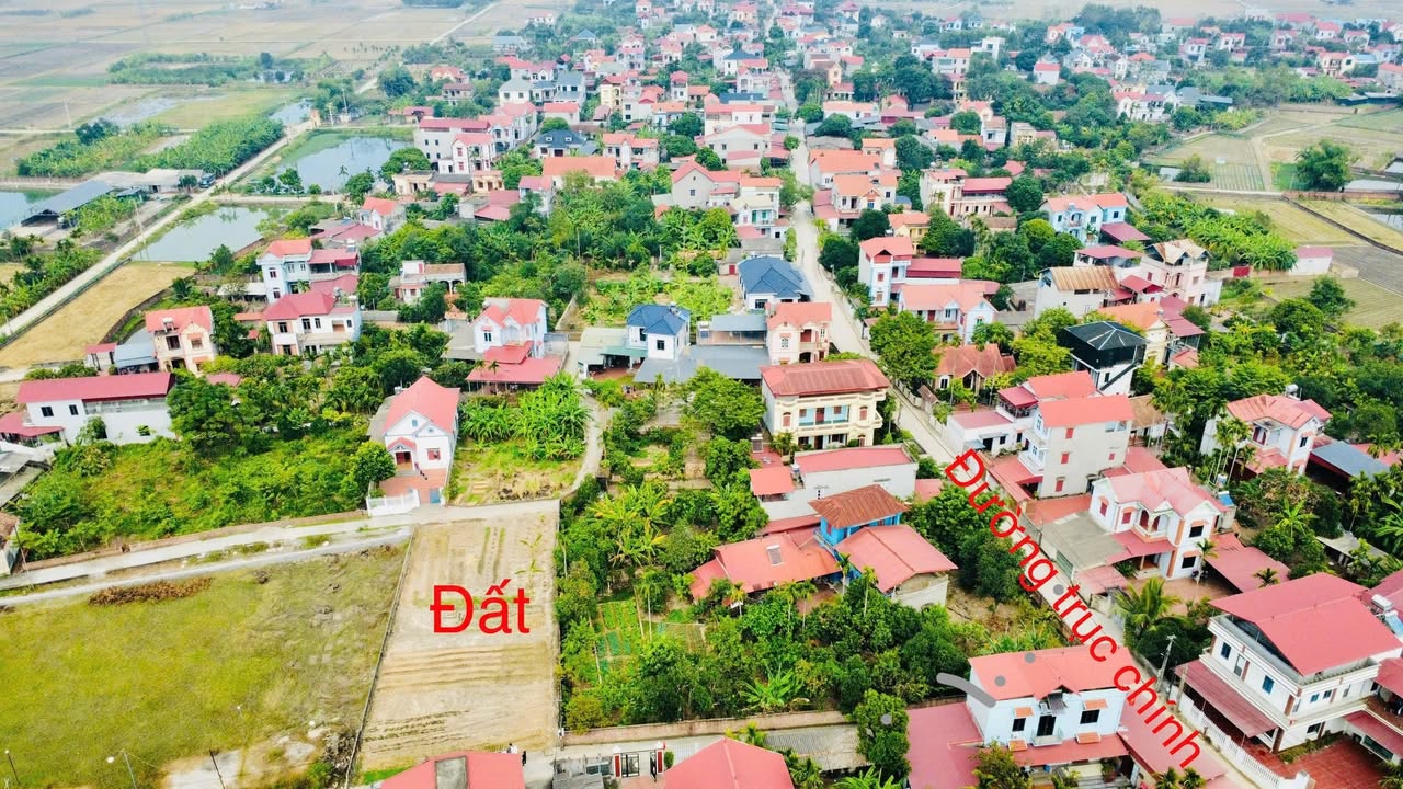 Lô đất hiếm Tân Tiến, Yên Dũng 232m² giá 1 tỷ - Cơ hội đầu tư hấp dẫn!