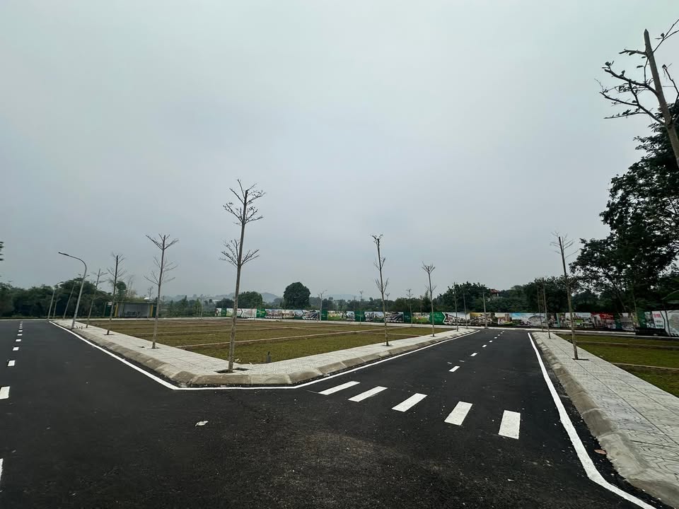 Đất nền Phú Cát Quốc Oai 100m² giá thỏa thuận - Mặt tiền 8m, gần ĐH QG!