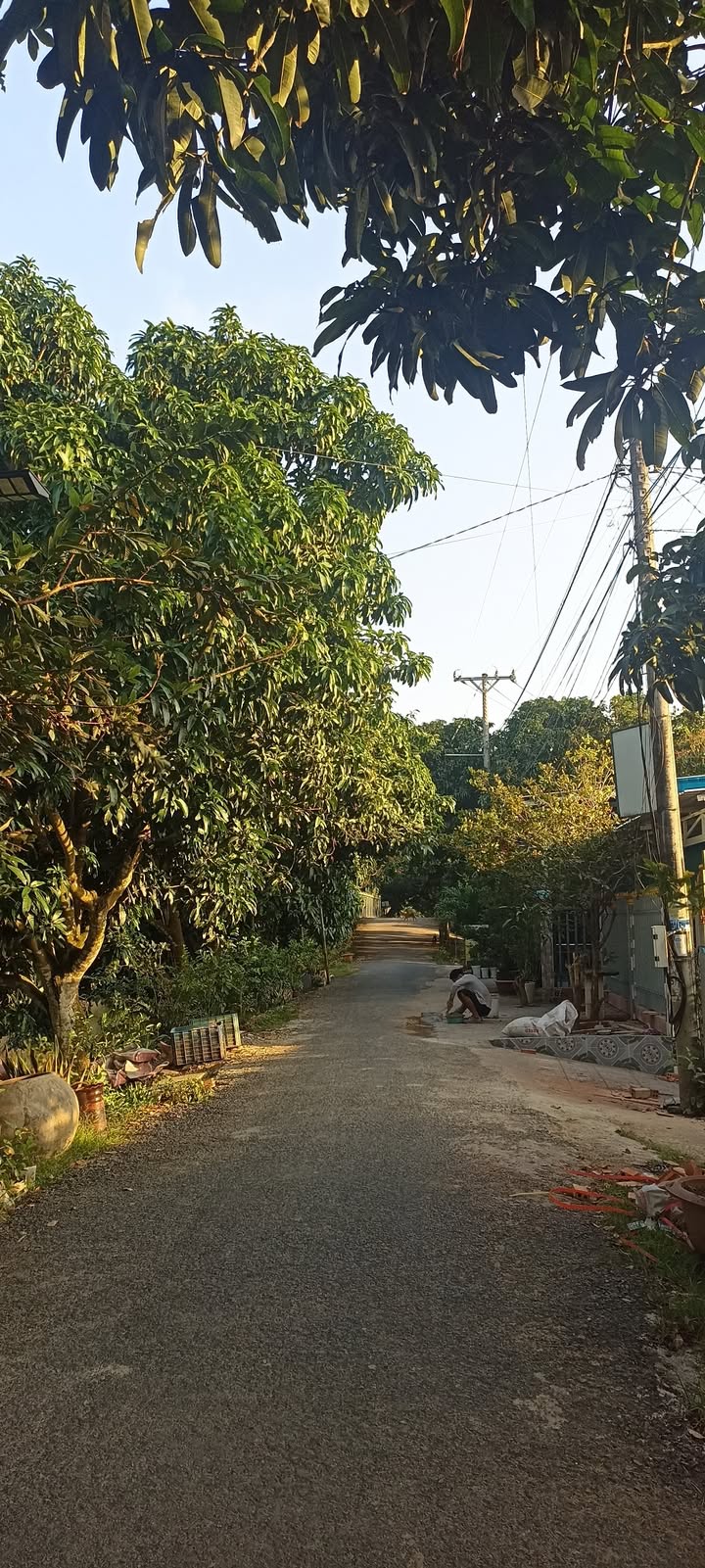 Nhà cấp 4 mặt tiền đường Đà Lạt, Chợ Mới, An Giang - Giá chỉ 630 triệu, thương lượng tốt!