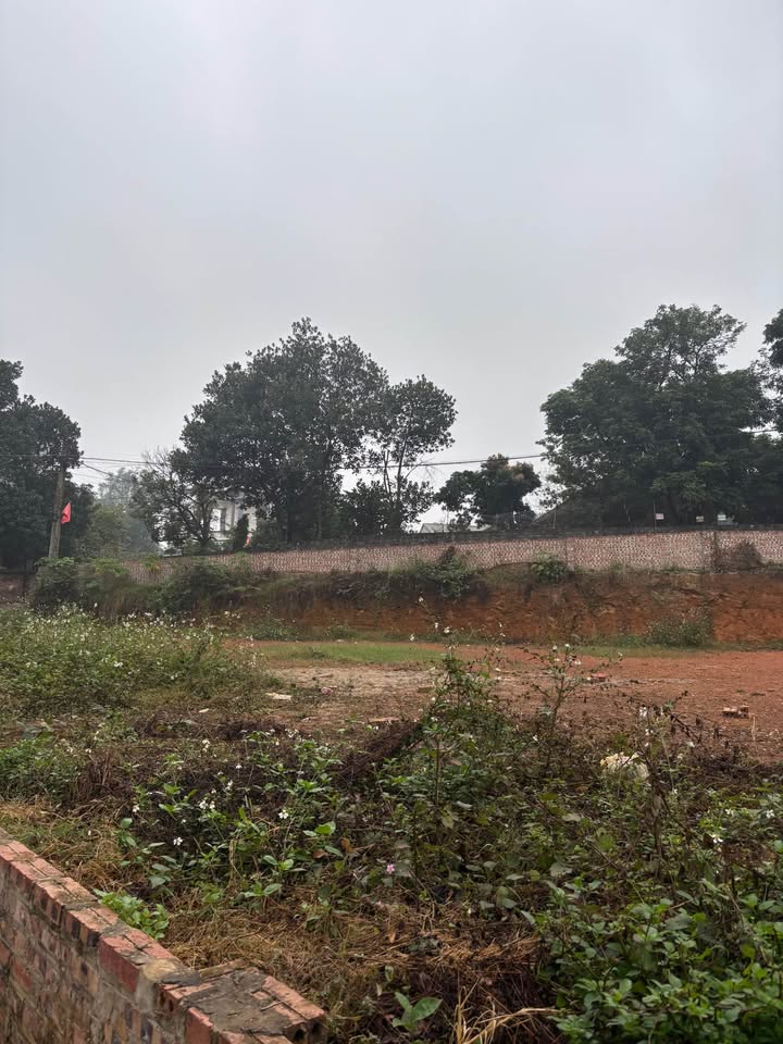 Lô đất Quảng Oai 700m² giá 3 tỷ - Đường bê tông ô tô đỗ tại đất!