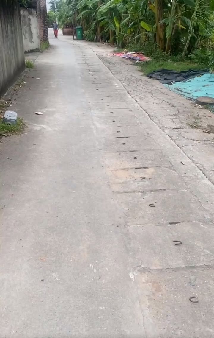 Đất 50m² Đặng Xá, Gia Lâm - Chỉ 2.95 tỷ - Gần chợ và trường học!