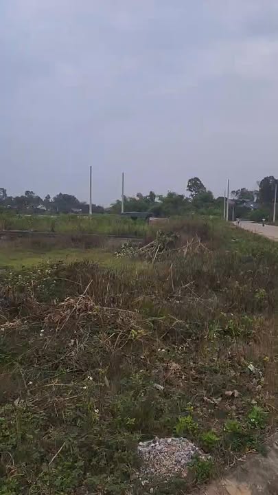 Đất nền Thôn Sấu, Xã Phúc Hòa, Bắc Ninh 200m² giá 2 tỷ - Đầu tư sinh lời tuyệt vời!