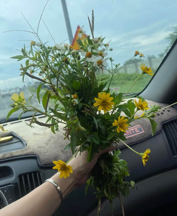 Đất mặt tiền Hòa Xuân 100m² giá 4 tỷ - Vị trí đắc địa gần sân bay Đà Nẵng!