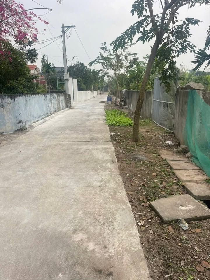 Đất nền Mộc Bắc 117m² giá 1 tỷ - Đường bê tông rộng, dân cư đông đúc!