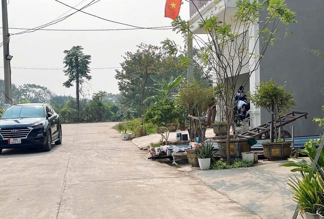 Đất Băng 2 đấu giá Đại Tự 100m² giá 1 tỷ - Đầu tư sinh lời ngay!