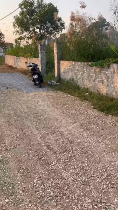 Đất nền An Đức Ninh Giang 90m² giá thỏa thuận - Cơ hội đầu tư hấp dẫn!