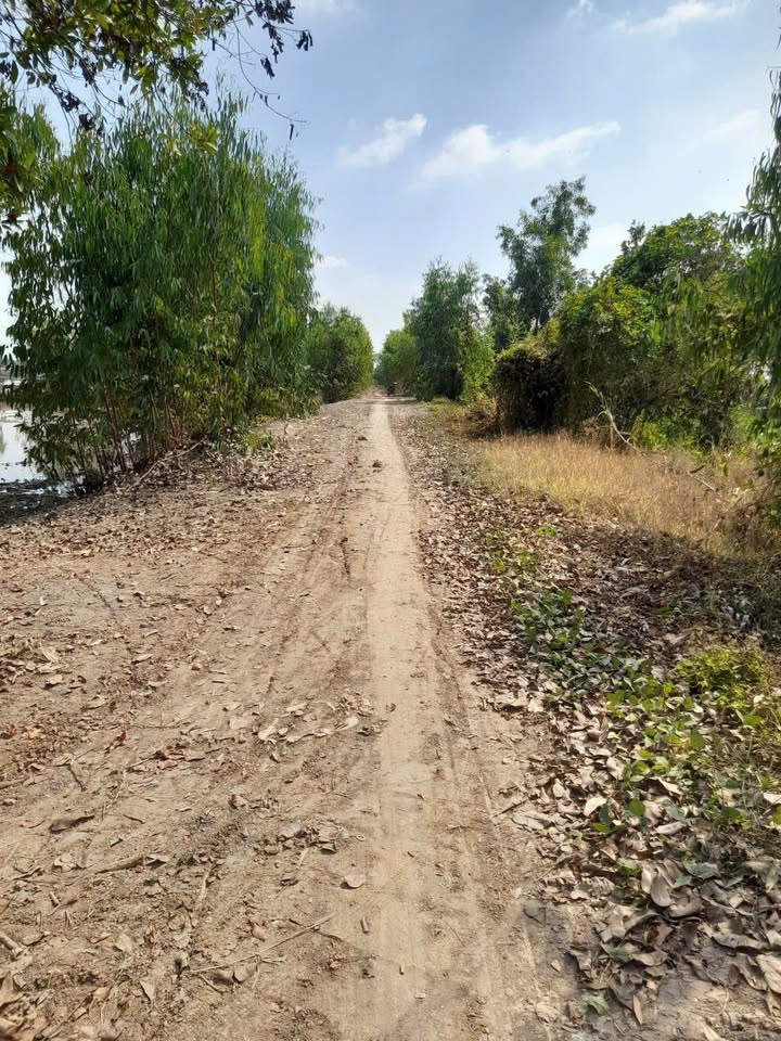 Đất lúa 10.226m² Hòa Khánh Nam, giá chỉ 5.5 tỷ - Cơ hội đầu tư hấp dẫn!