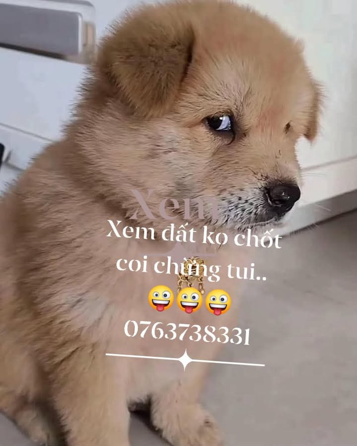 Đất nền Phước Hiệp 80m² giá thỏa thuận - Sổ riêng chính chủ!