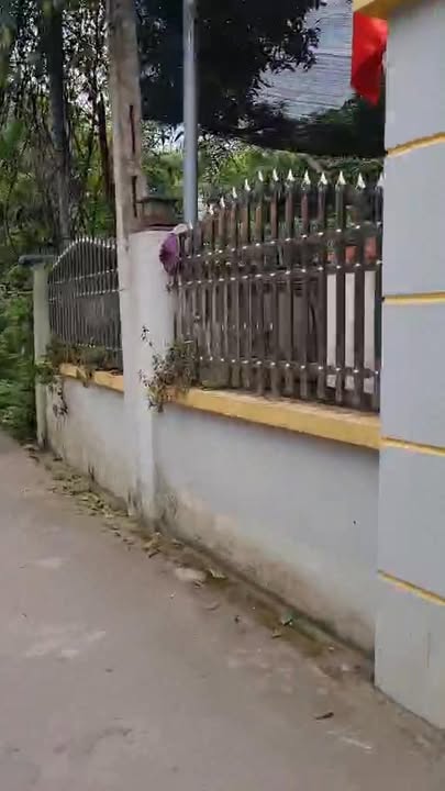 Đất nền Nghĩa Lộ 90m² giá 1 tỷ - Sổ đỏ chính chủ, gần trường học!